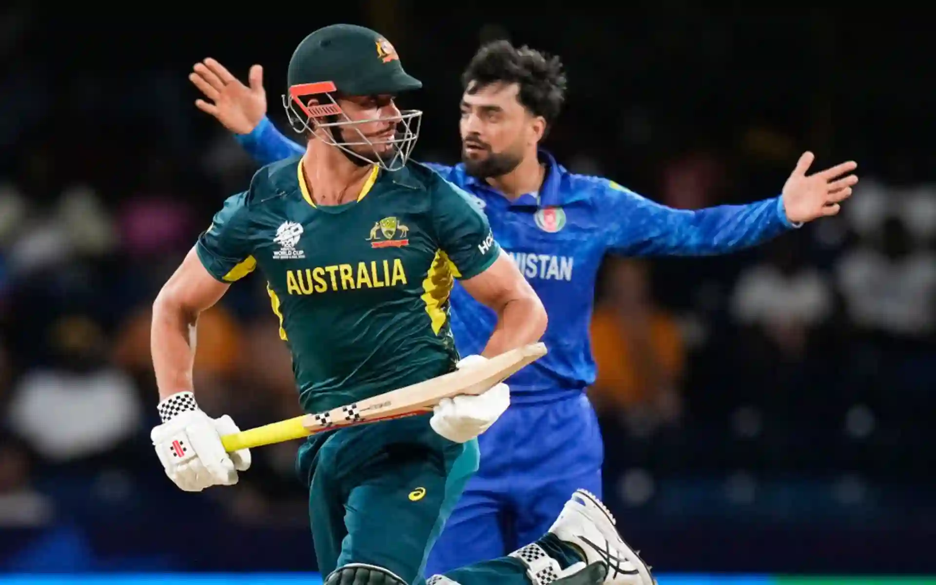 'Couldn't Sleep In Mumbai... Can't Sleep Now': Rashid Khan After Beating Australia