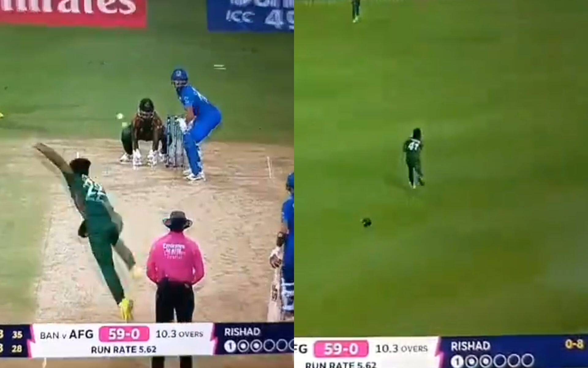 Rishad scalps wicket of Ibrahim Zadran (x)