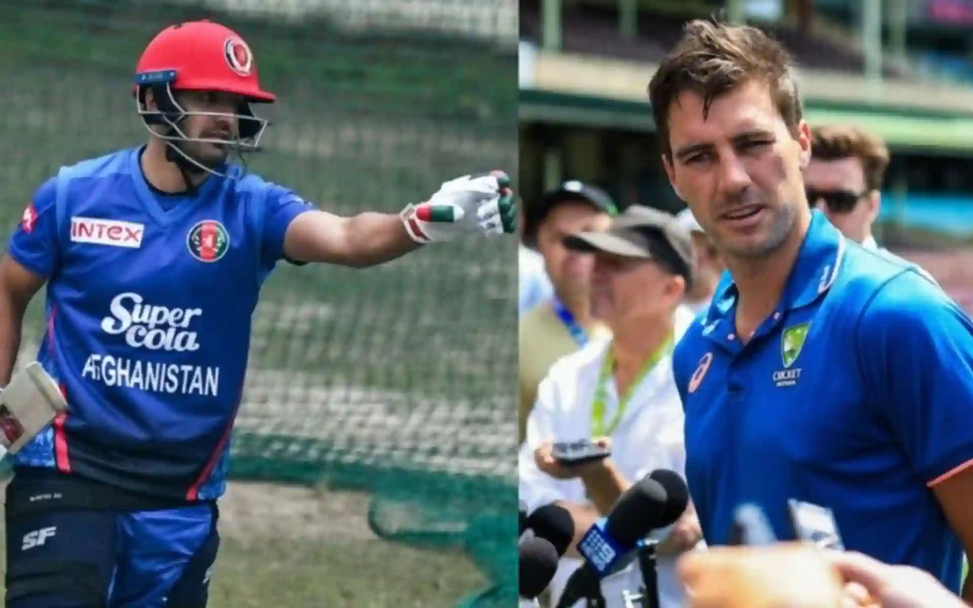 'Definitely Australia...': Najibullah Zadran 'Destroys' Pat Cummins Over Failed T20 World Cup Prediction