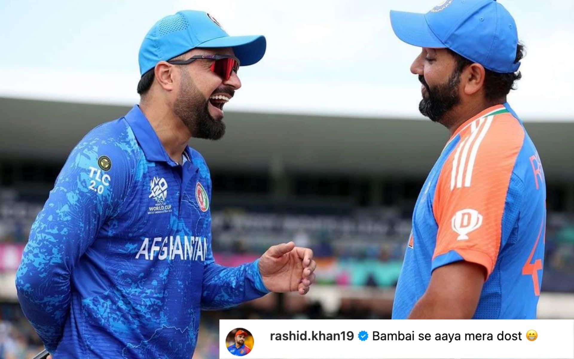 Rashid Khan Dedicates Rohit Sharma 'Bhaichara On Top' Moment After AFG's Semi-Final Entry