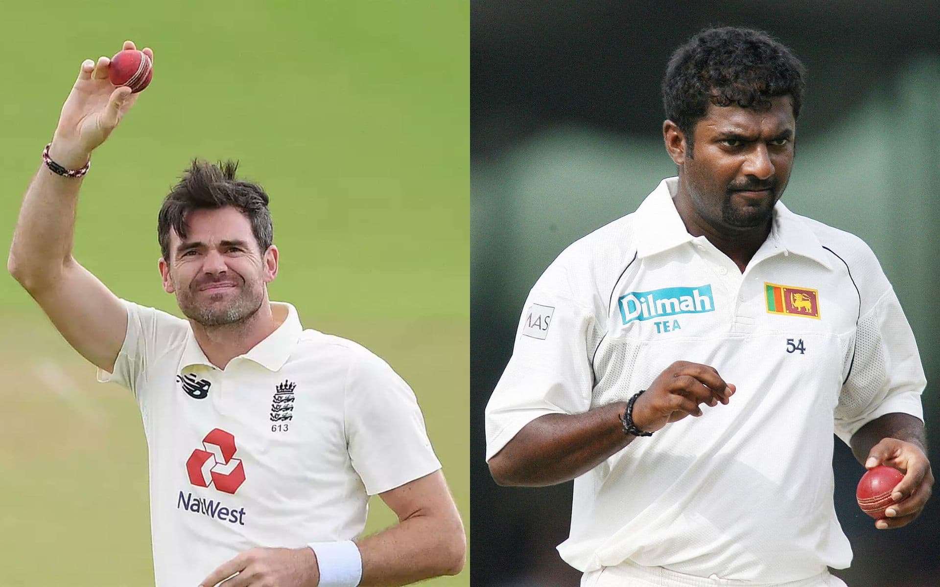 James Anderson and Muttiah Muralitharan are the highest wicket takers in test history [X.Com]