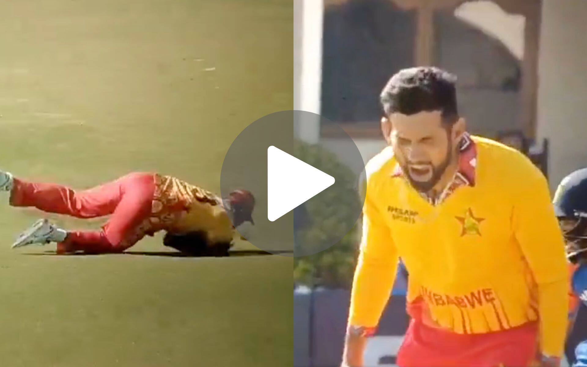 [Watch] Livid Sikandar Raza Shouts At Chatara As His Drop Catch Gives Gaikwad A Lifeline