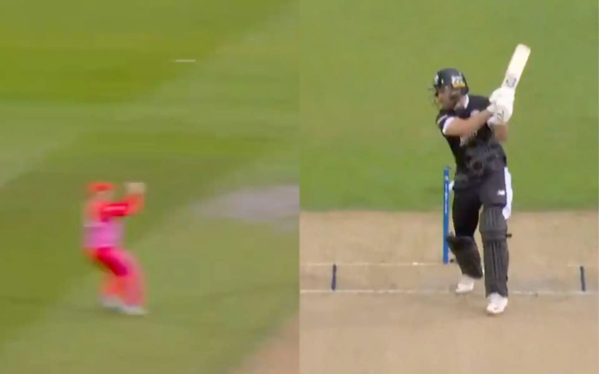 Phil Salt was dismissed of the second delivery in the match [X]