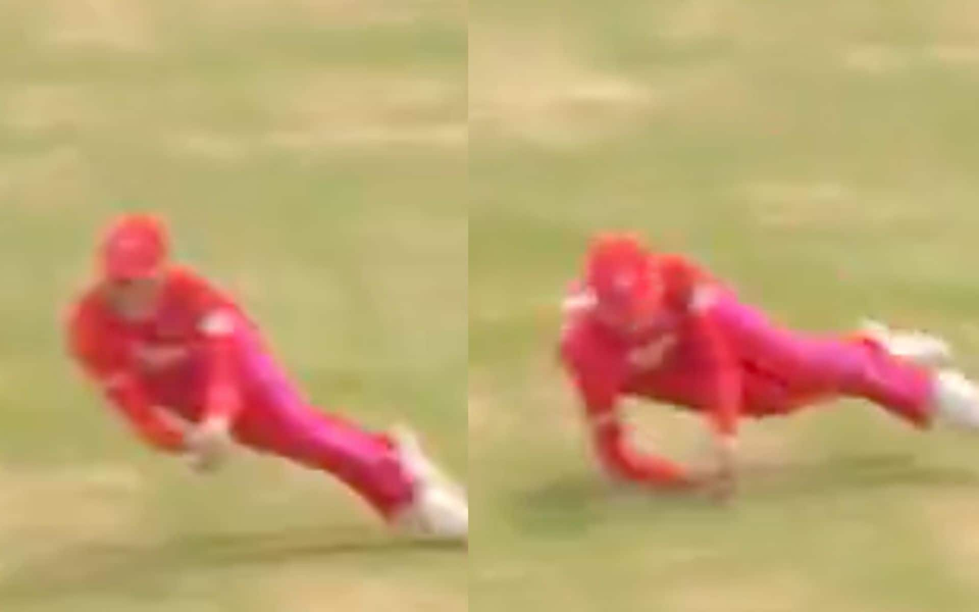 Phoebe Franklin grabs a stunning catch (X.com)