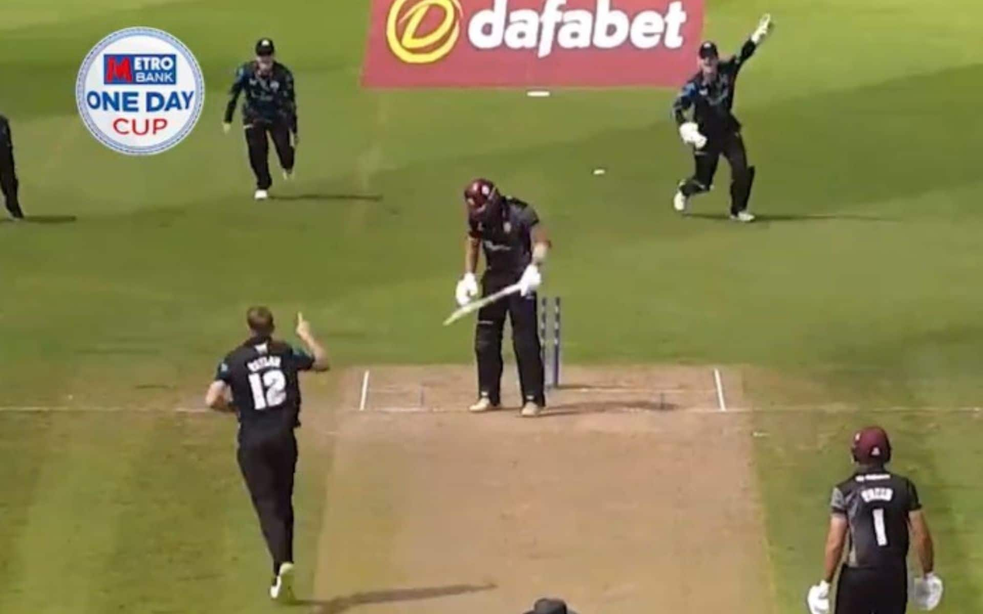 Tom Taylor celebrating his wicket in Royal London One-Day Cup 2024 (x.com)