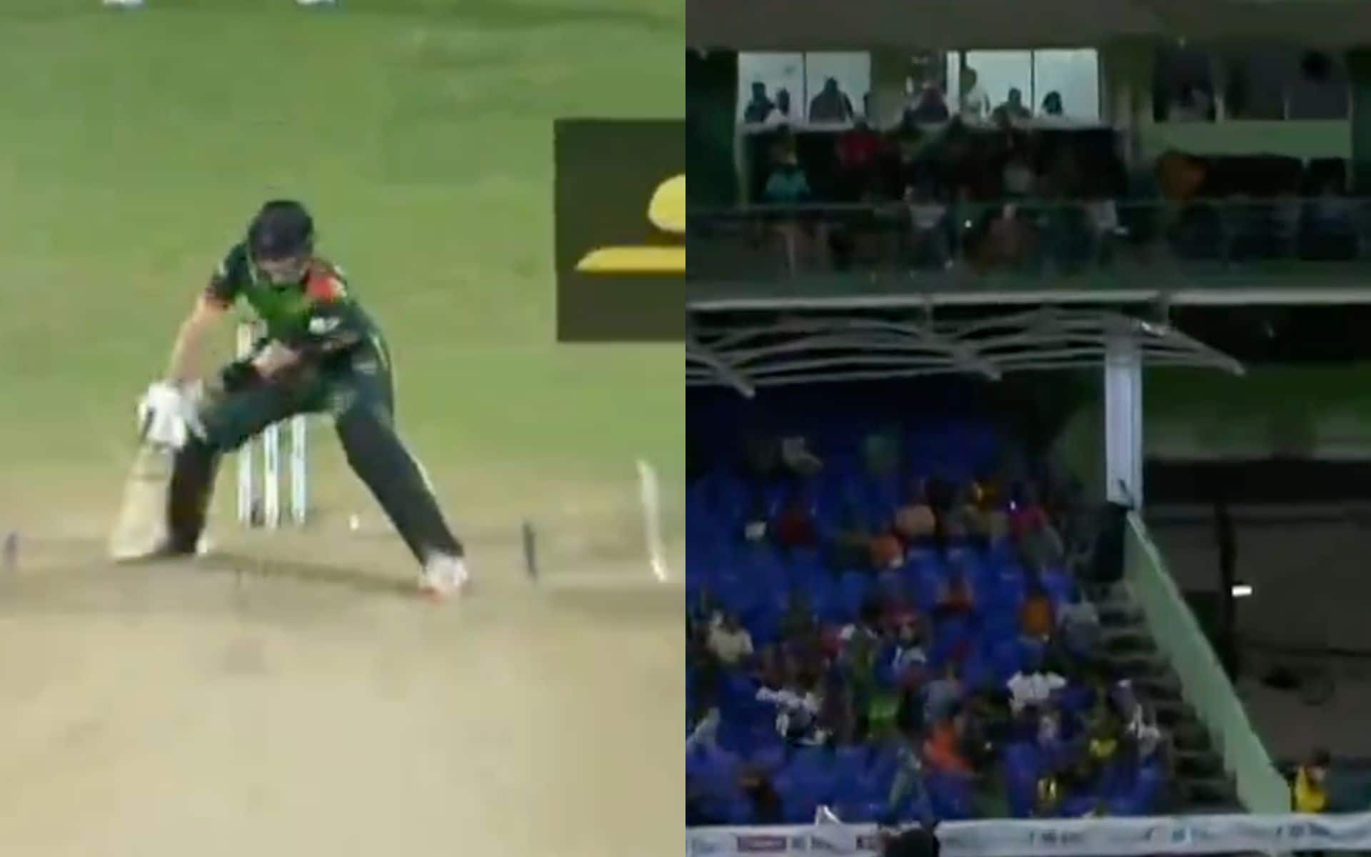 Tristan Stubbs hit a brilliant reverse paddle shot in the third match of CPL 2024 [X]