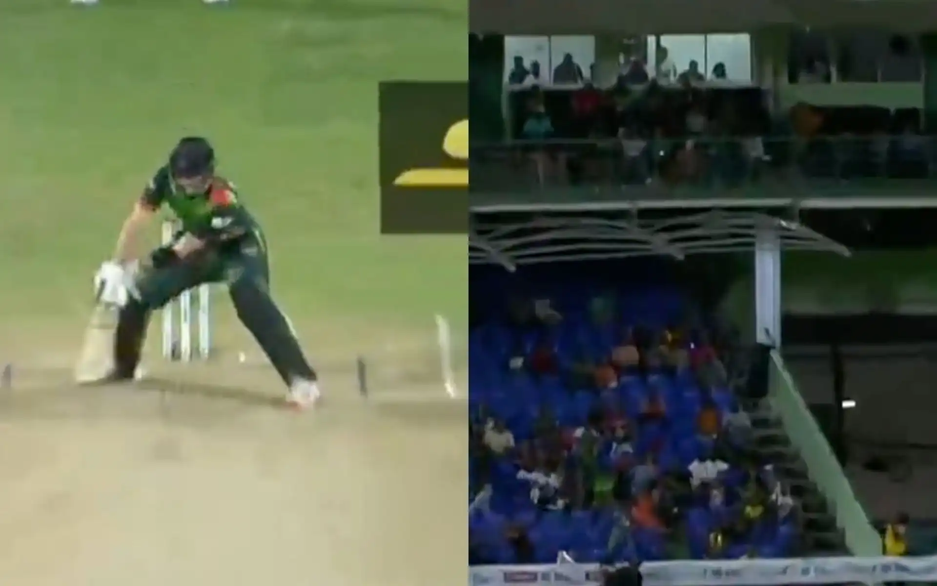 Tristan Stubbs hit a brilliant reverse paddle shot in the third match of CPL 2024 [X]