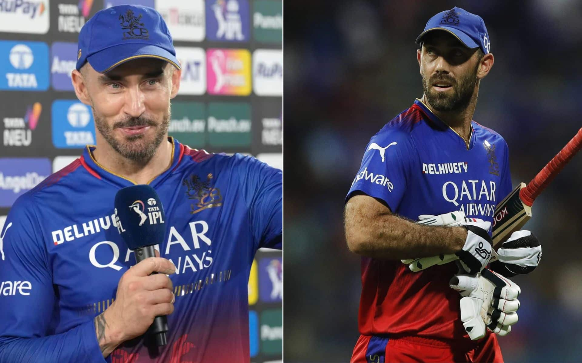 RCB To Release Faf Du Plessis and Glenn Maxwell Before IPL 2025 Mega Auction - Reports