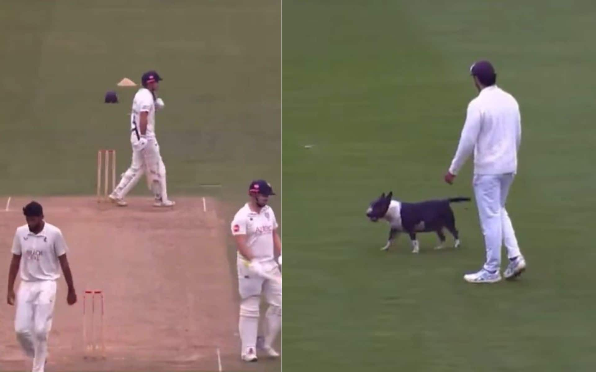 A dog brought Durham vs Kent to a halt at Riverside Ground [Screengrab/@DurhamCricket/x.com]