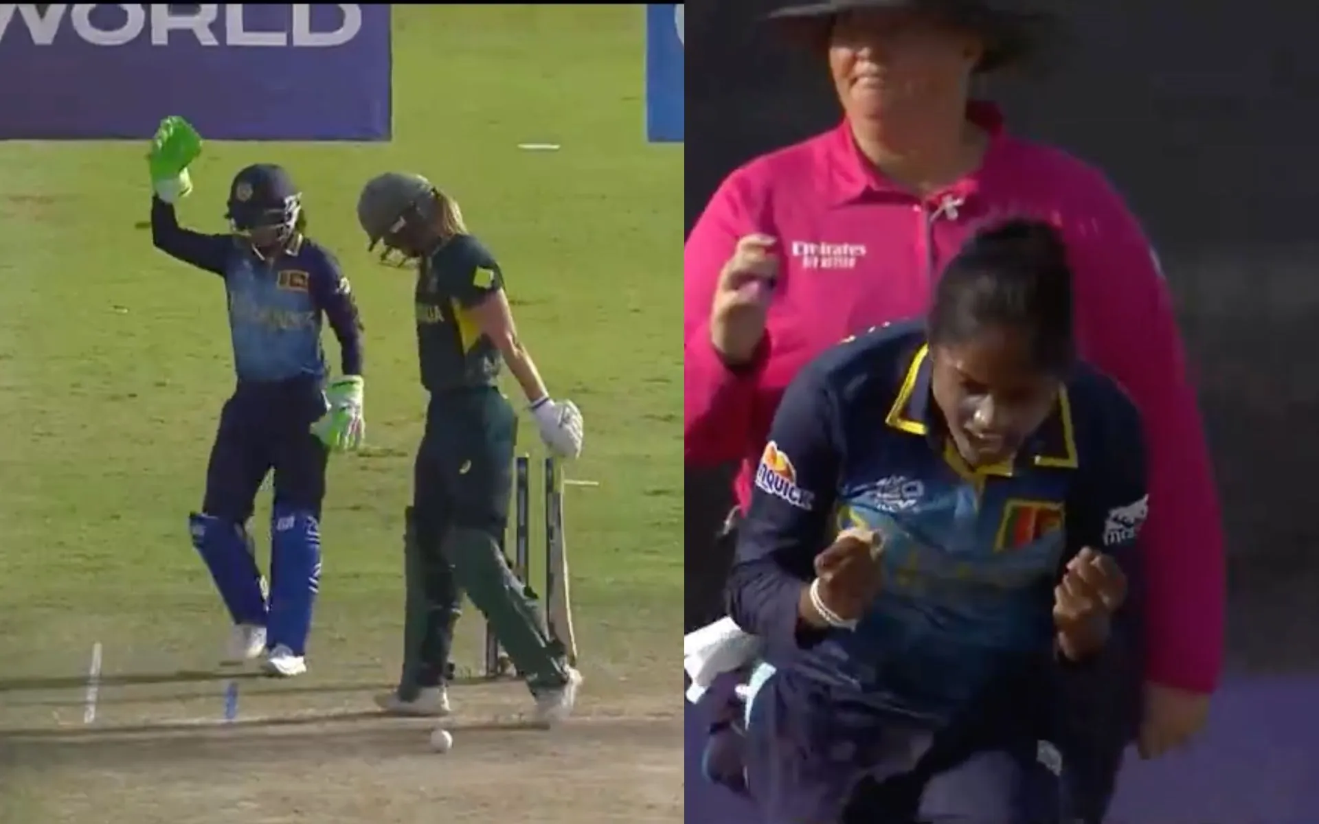 Ellyse Perry's Wicket- (Source: Screengrab)