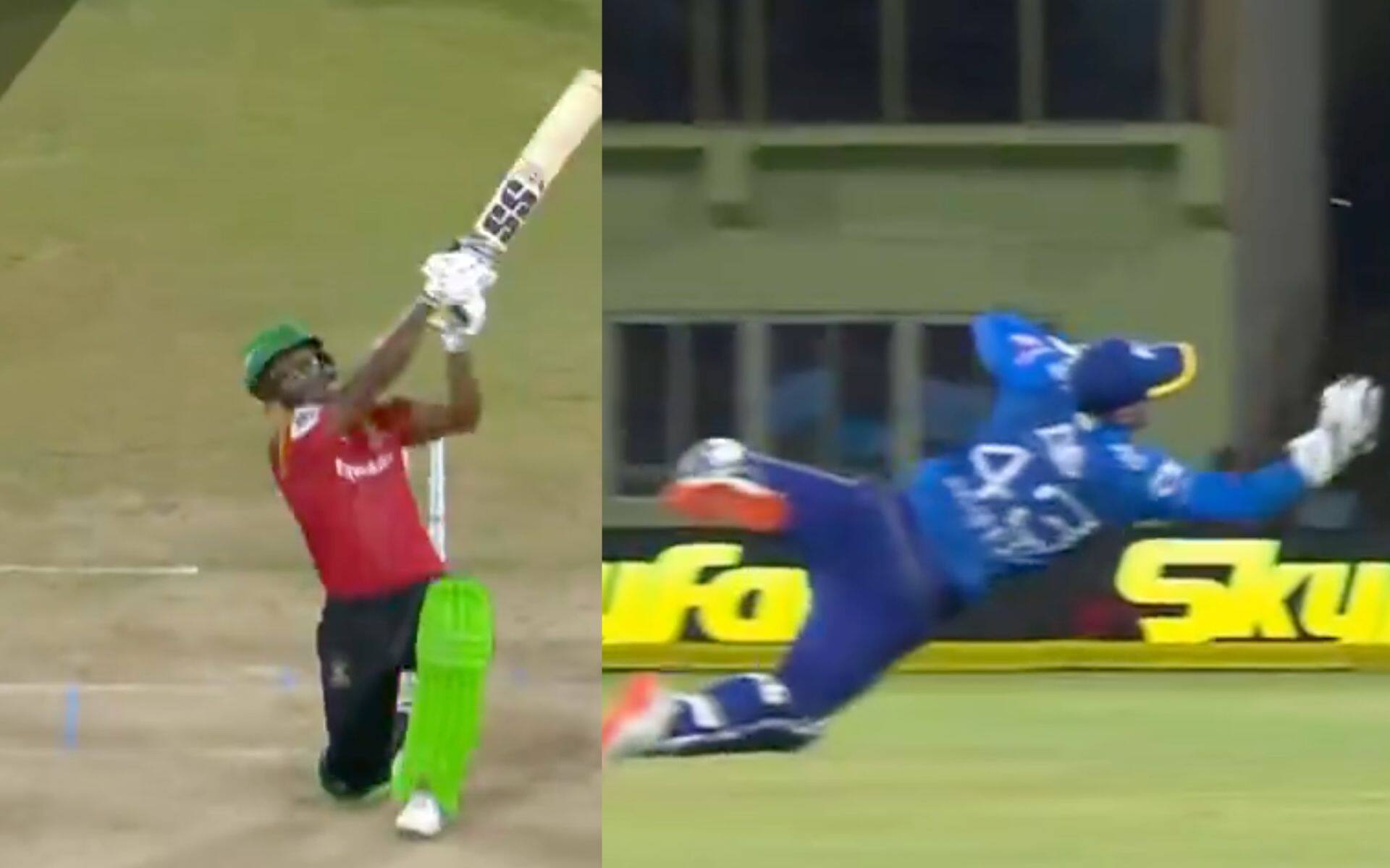 Tim Seifert took a diving catch of Keemo Paul [Source: Screen grab from @CPL/x.com]