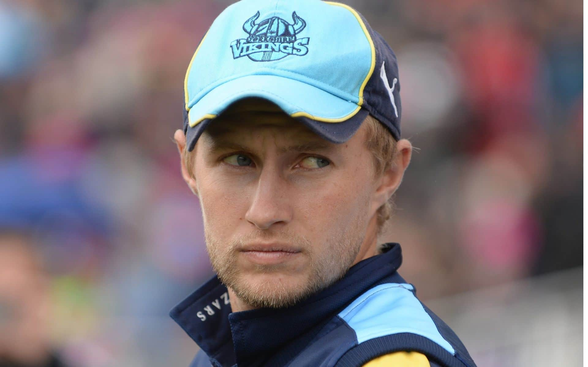 Joe Root might play IPL 2025 (Source: @kaul_avi/X.com)