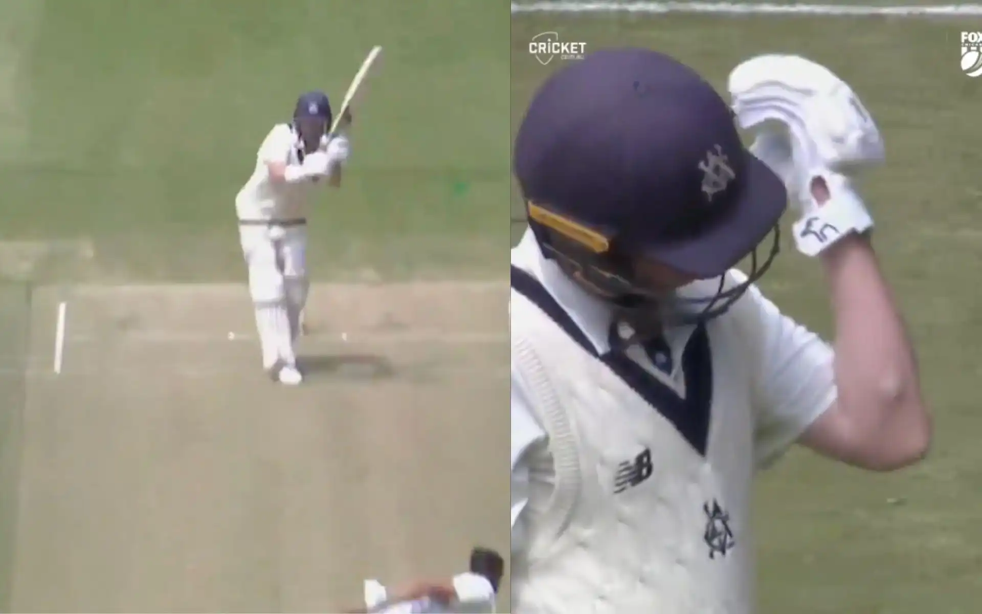Mitchell Starc hits Marcus Harris hard on left arm in Sheffield Shield (@cricketcomau/X.com)