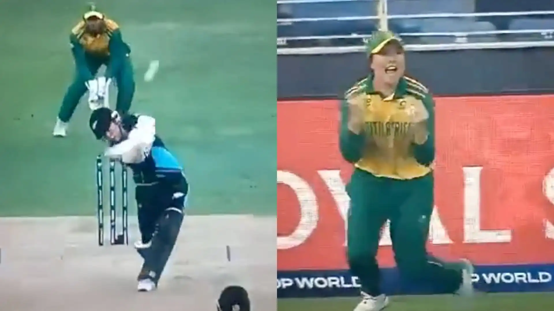 Sune Luus took a brilliant catch to dismiss Georgia Plimmer [Source: @kingdom_virat1]