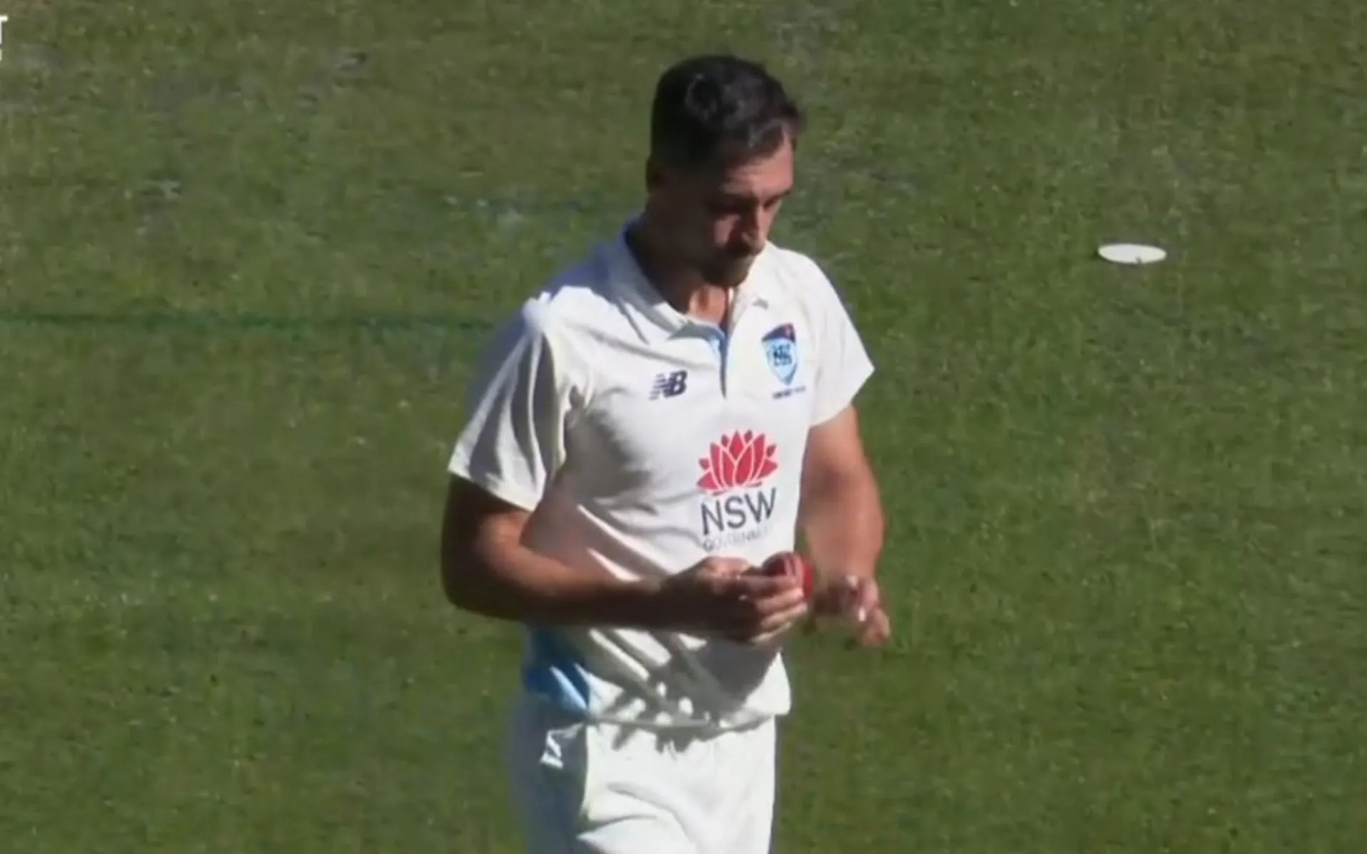 Mitchell Starc Spell -(Source: @Johns/X.com)
