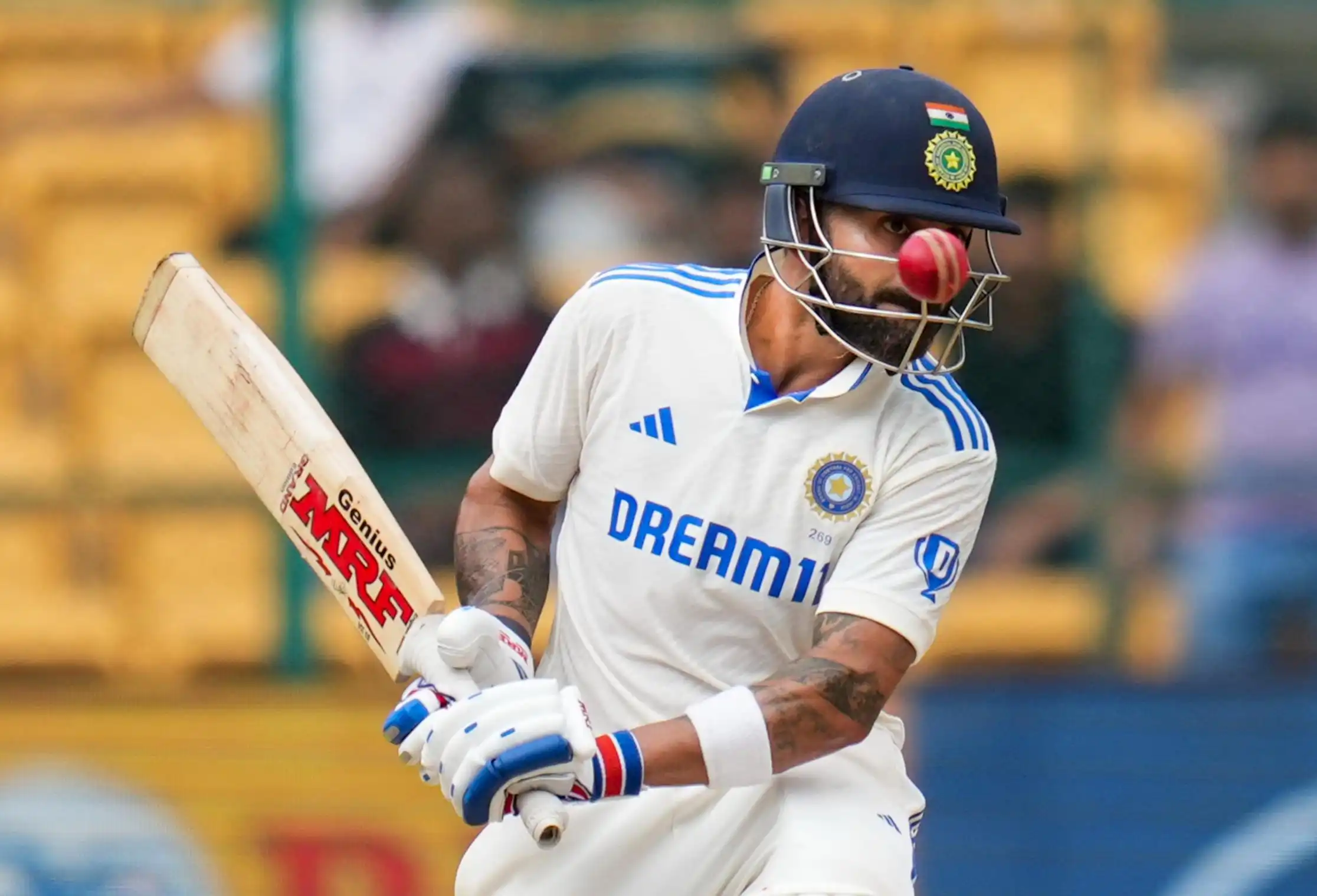 Kohli in action Vs NZ [Source: PTI]
