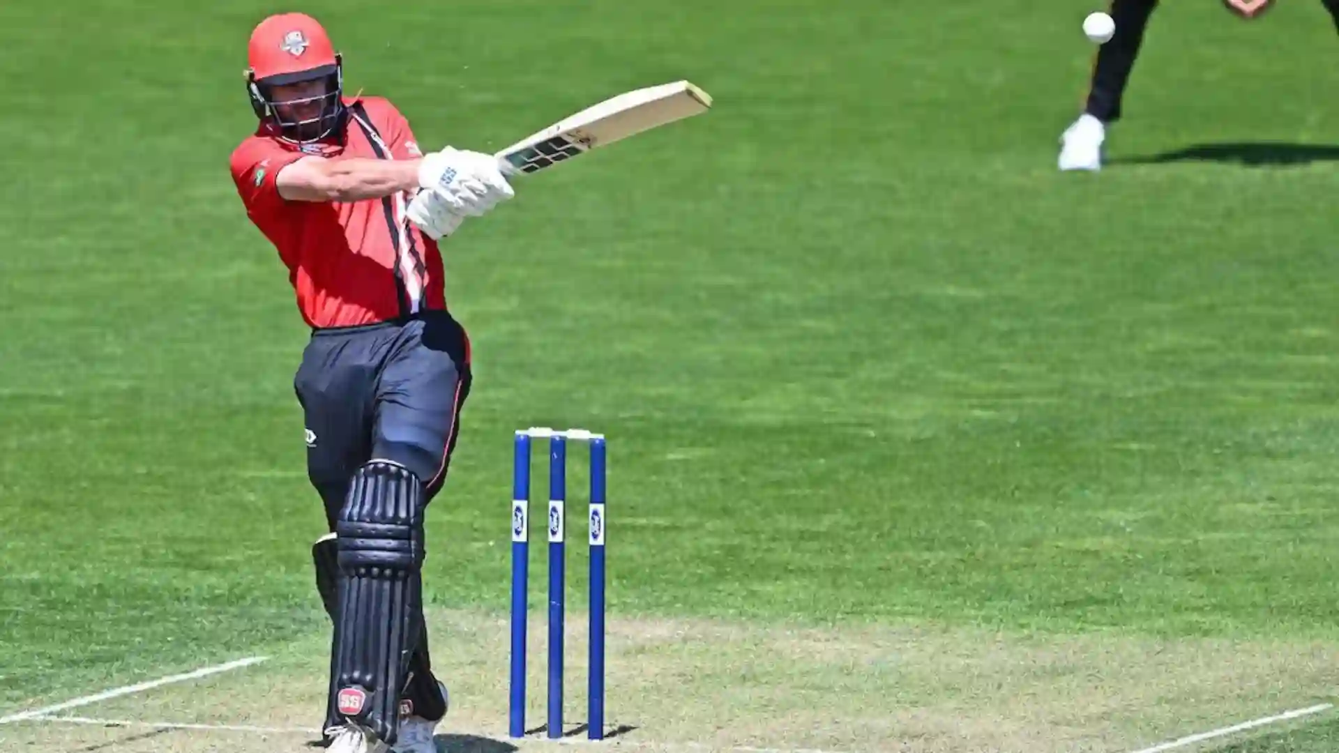 Ford Trophy 2024: Chad Bowes Smashes Fastest-Ever Double Century In List-A Cricket