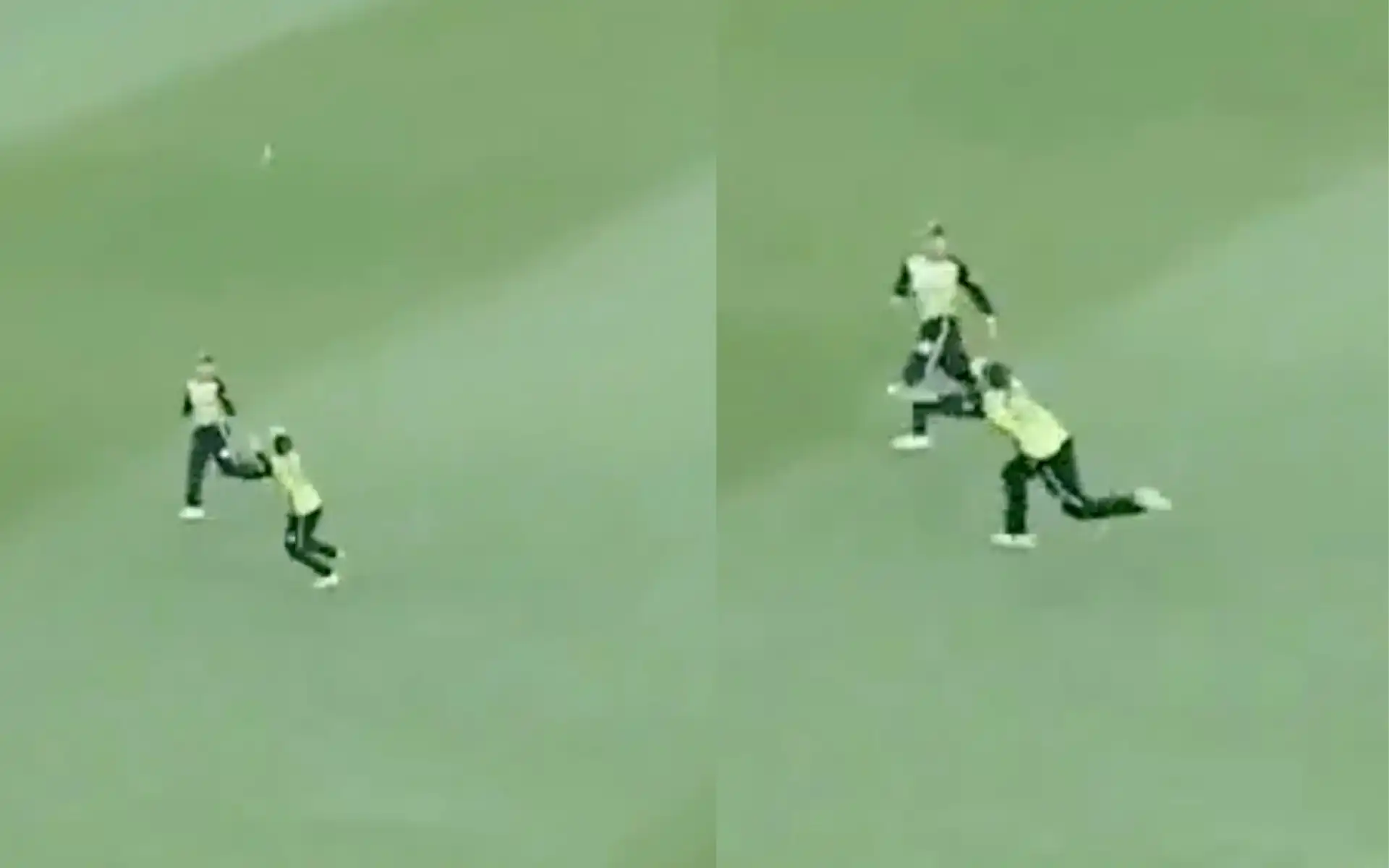 Georgia Adams took a brilliant catch in the fourth match of the WBBL 2024 [Source: @WBBL/x.com]