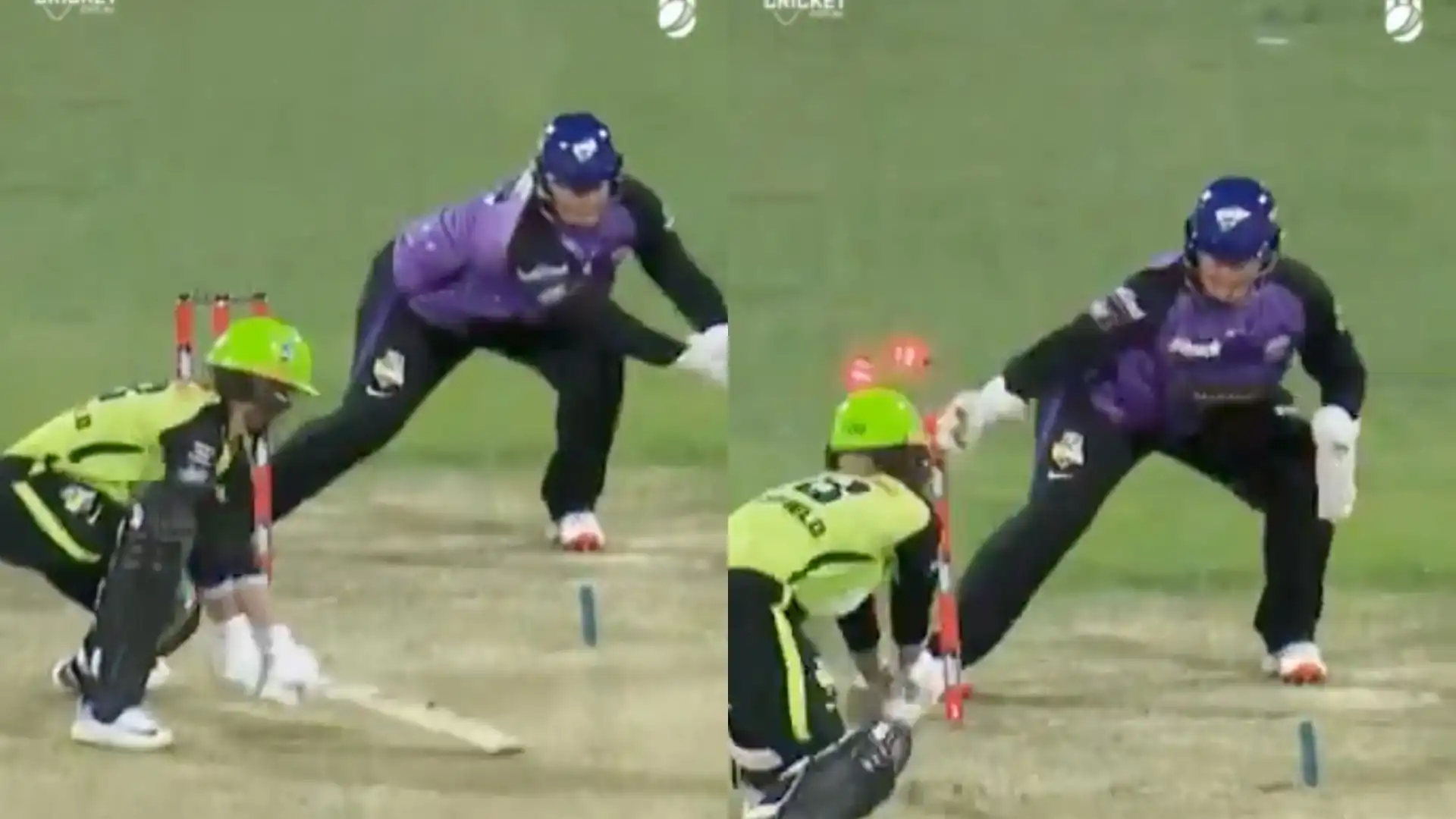 Lizelle Lee's brilliant stumping [Source: @WBBL/X]