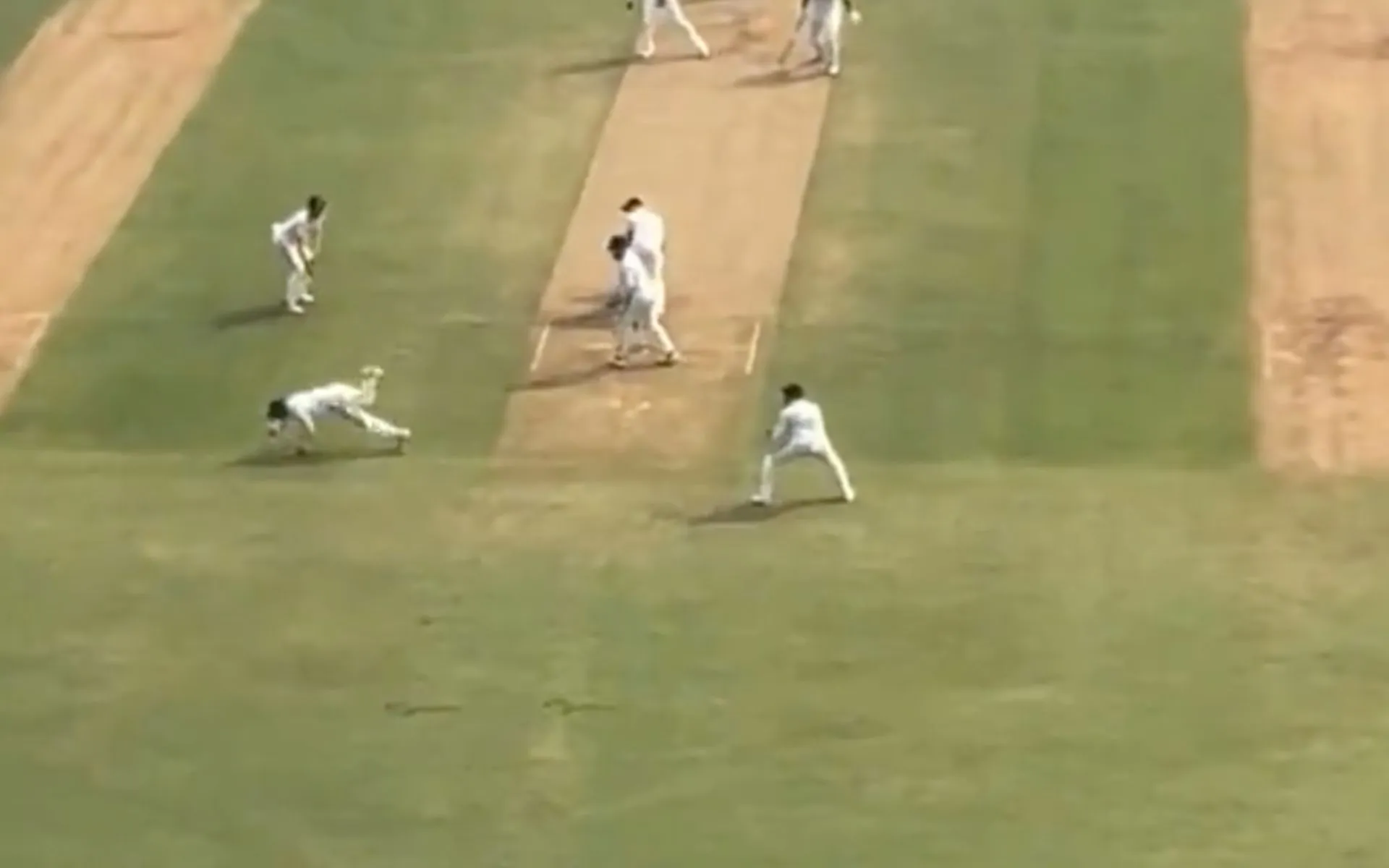 Virat Kohli's brilliant reflexes against New Zealand (X.com/@CrazyCricJohns)