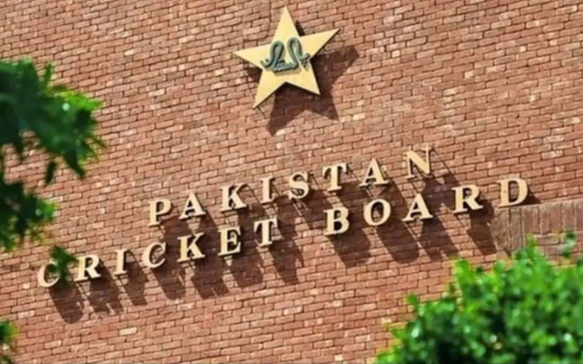 PCB assures swift visa issuance for Indian fans [Source: @TheRealPCBMedia/x]
