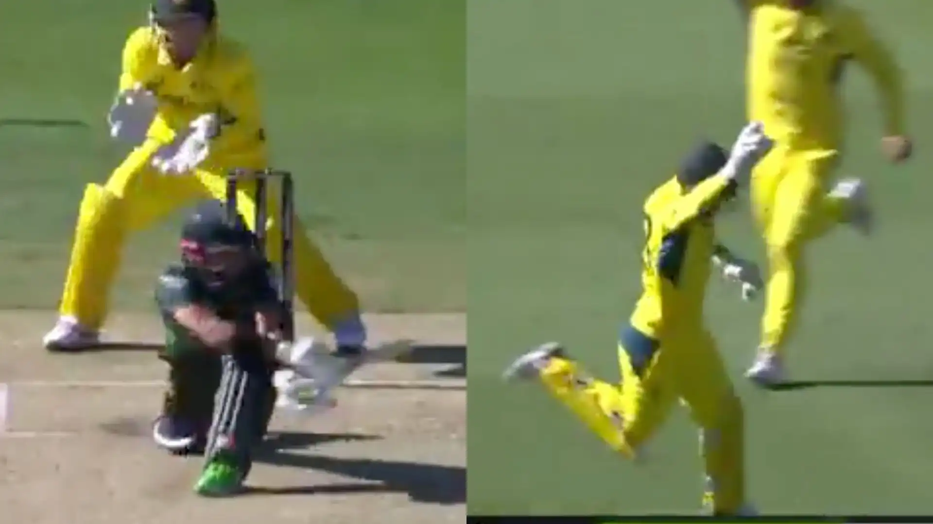 Rizwan was dismissed by Labuschagne in MCG ODI [Source: @viratgoback/X]