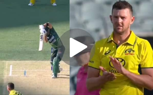 [Watch] Josh Hazlewood Claps In Awe As Abdullah Shafique Hits Textbook Cover Drive