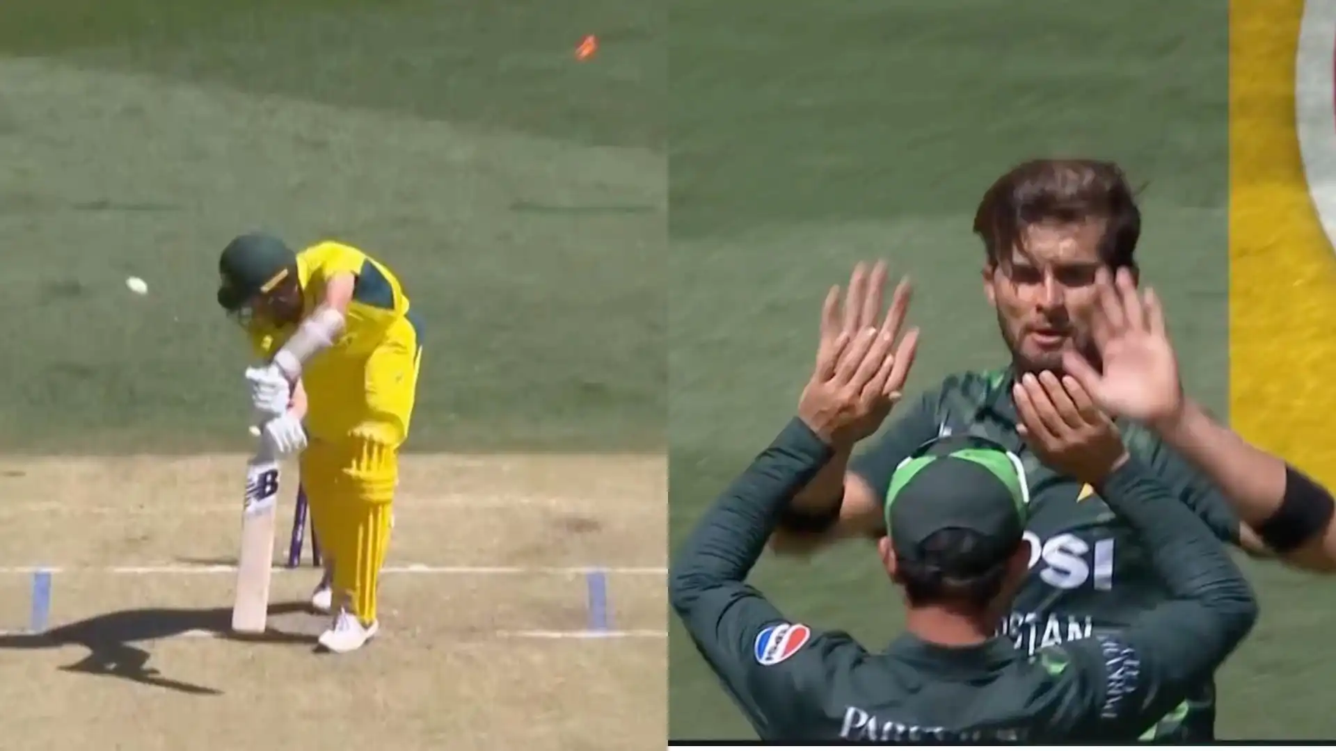 Shaheen cleaned up Morris [Source: @viratgoback/X]