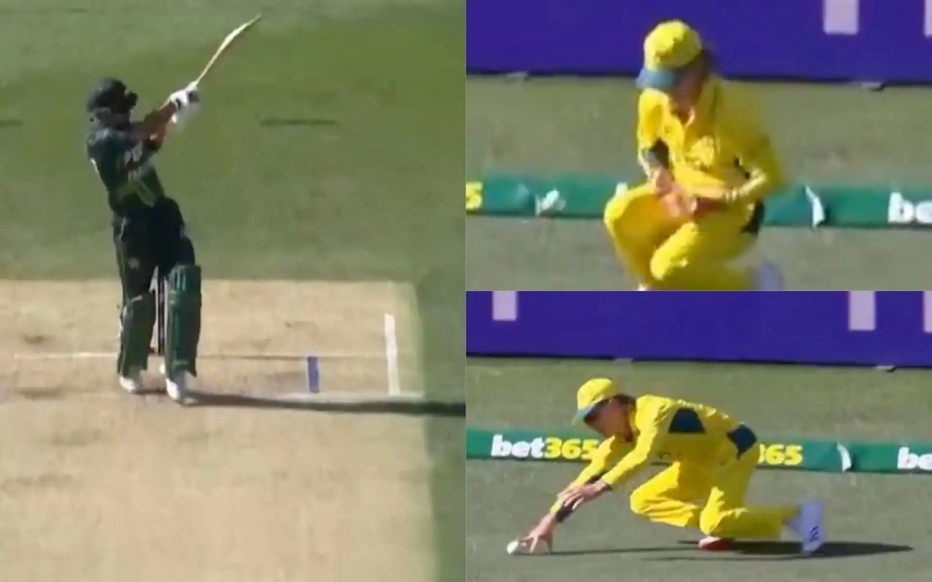 Adam Zampa drops a dolly [Source: @viratgoback/X.com]