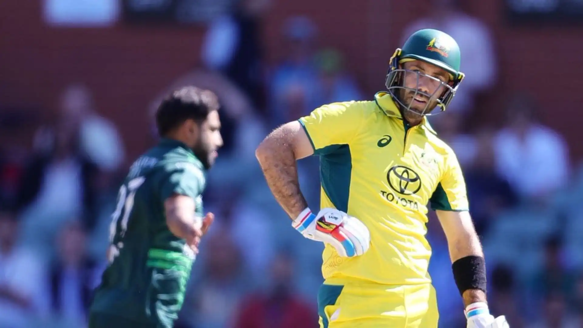 Glenn Maxwell And...? Pat Cummins Likely To Drop These 3 Players For Champions Trophy 2025