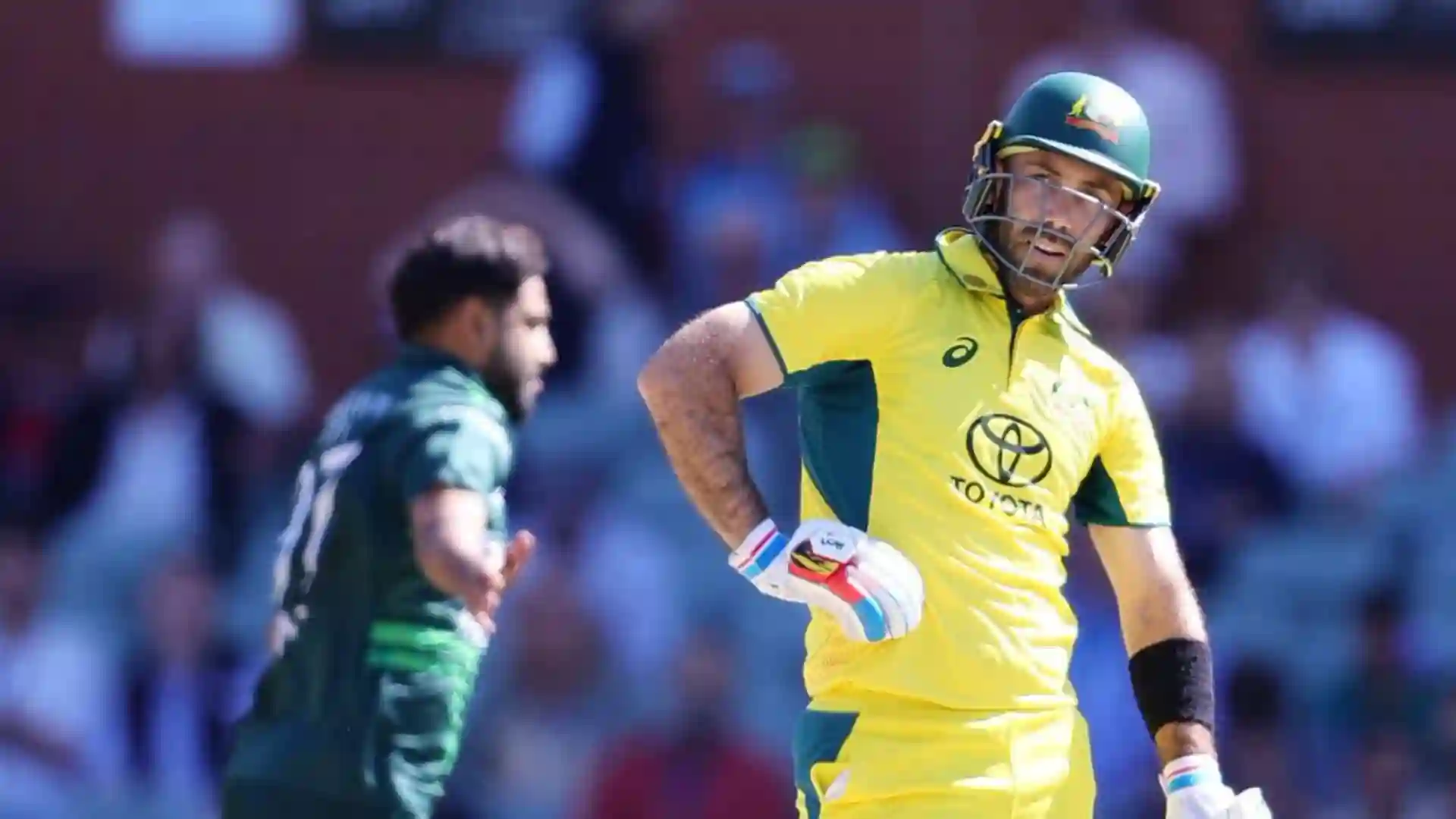 Glenn Maxwell And...? Pat Cummins Likely To Drop These 3 Players For Champions Trophy 2025