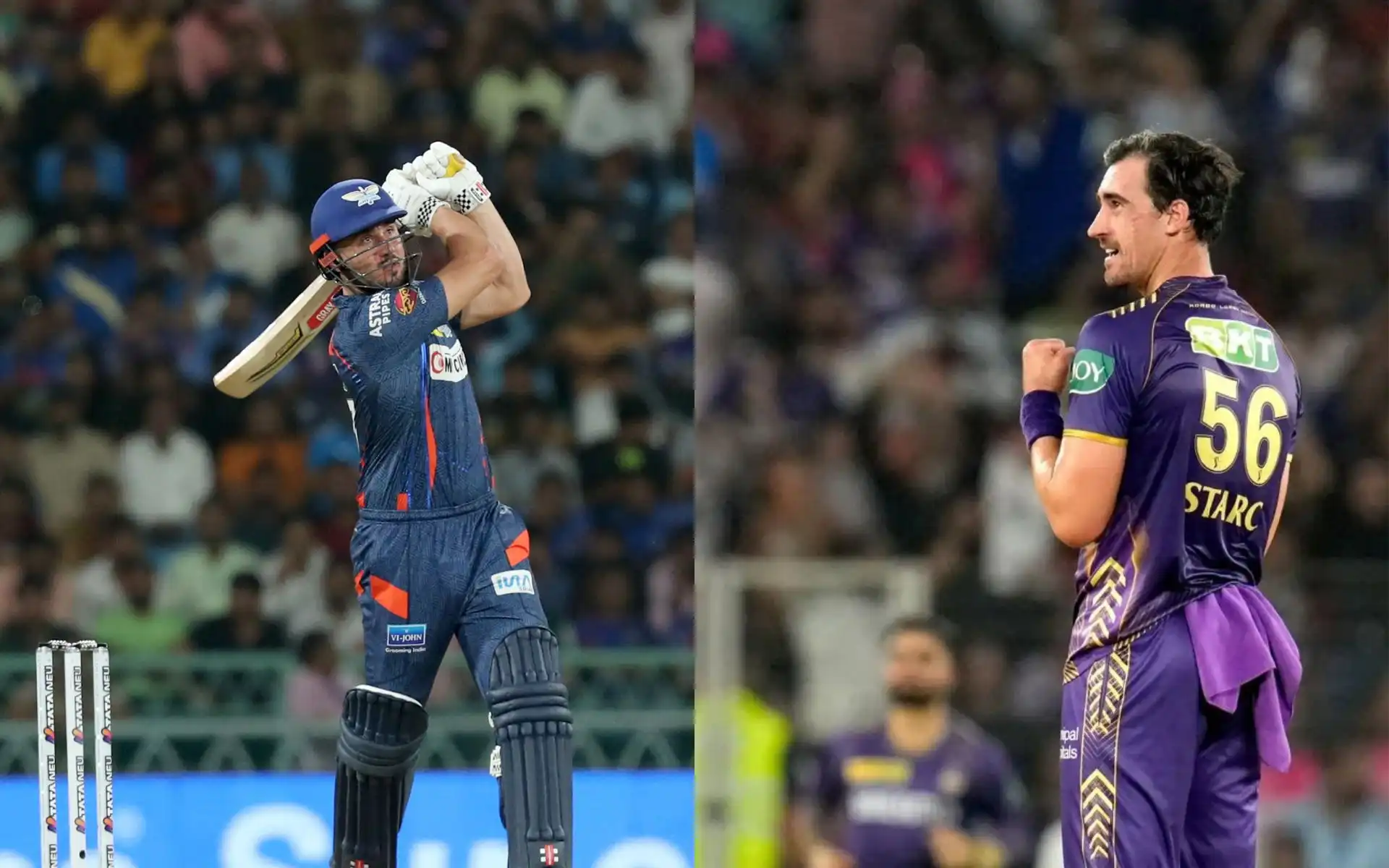 Marcus Stoinis and Mitchell Starc [Source: @IPL,@KRxtra/x.com]