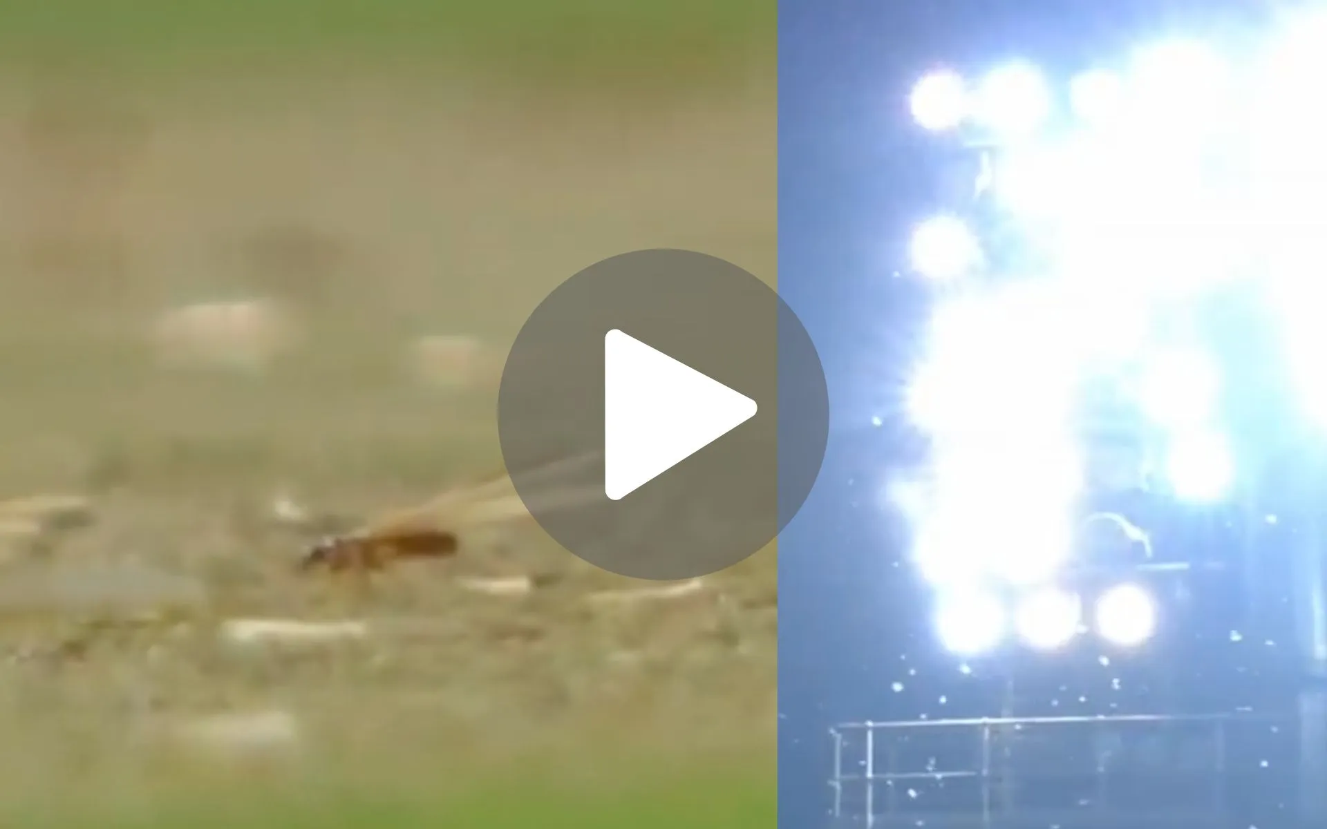 IND vs SA 3rd T20I [Source: Screen grab from @viratgoback/x.com]