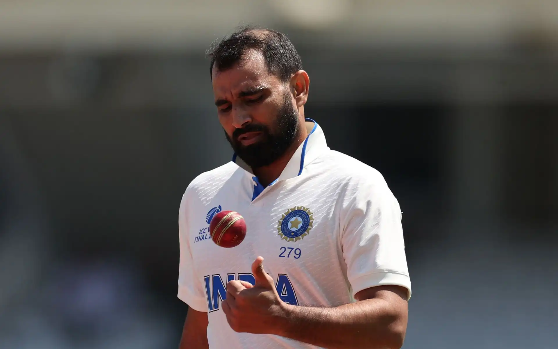 Mohammed Shami- (Source: @Johns/X.com)