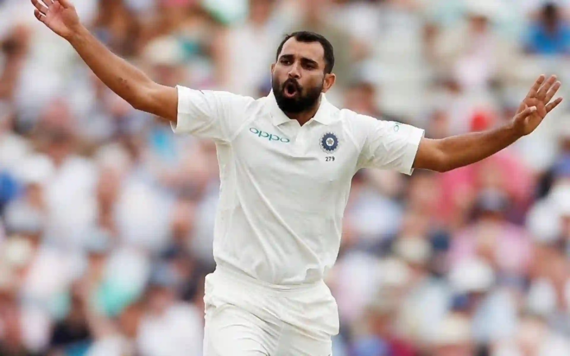 Mohammed Shami - (Source:@Johns/X.com)