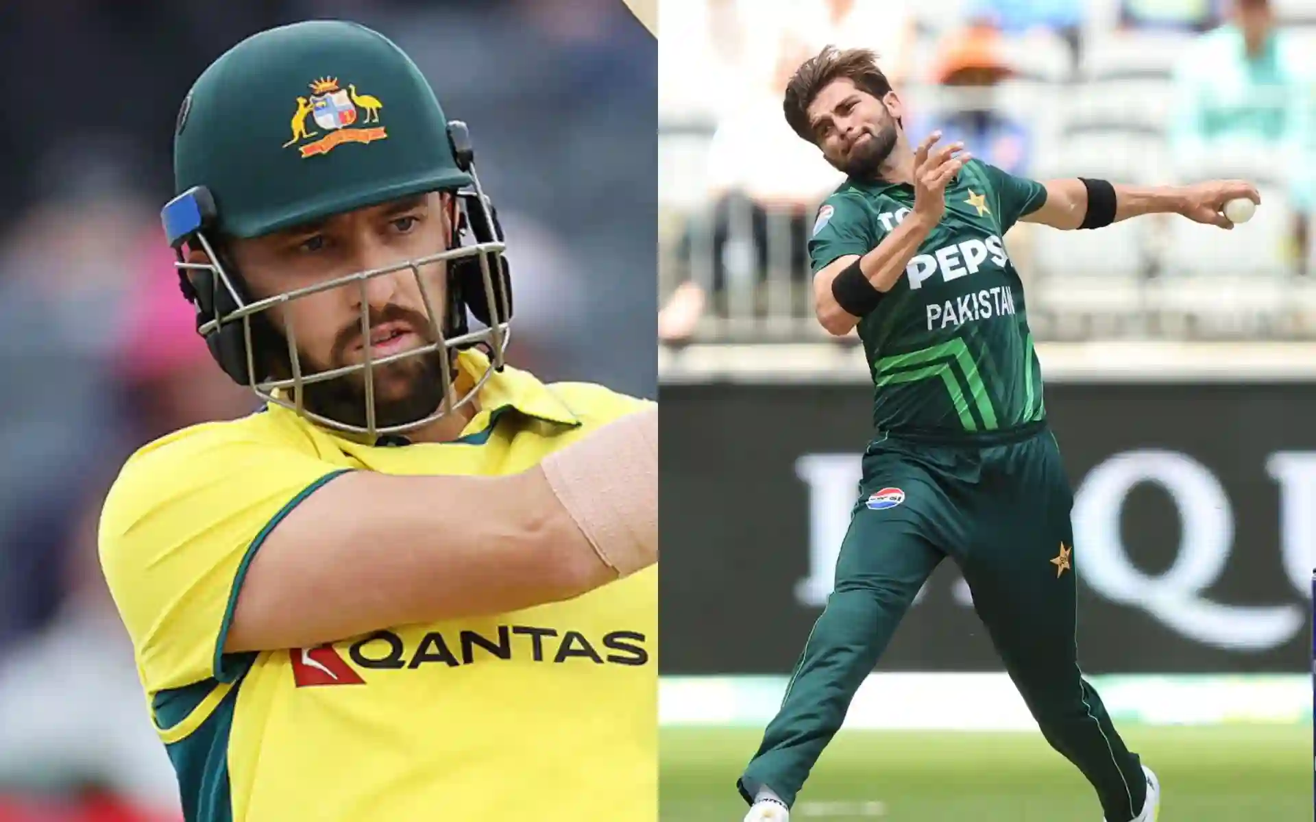 Matt Short and Shaheen Afridi [Source: @Cricketracker, @cricketcomau/x.com]