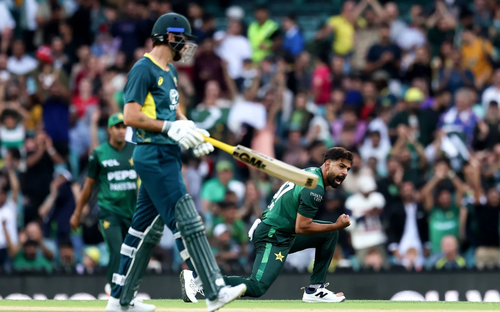 AUS vs PAK Head To Head Record in T20Is [Source: @TheRealPCB/x.com]