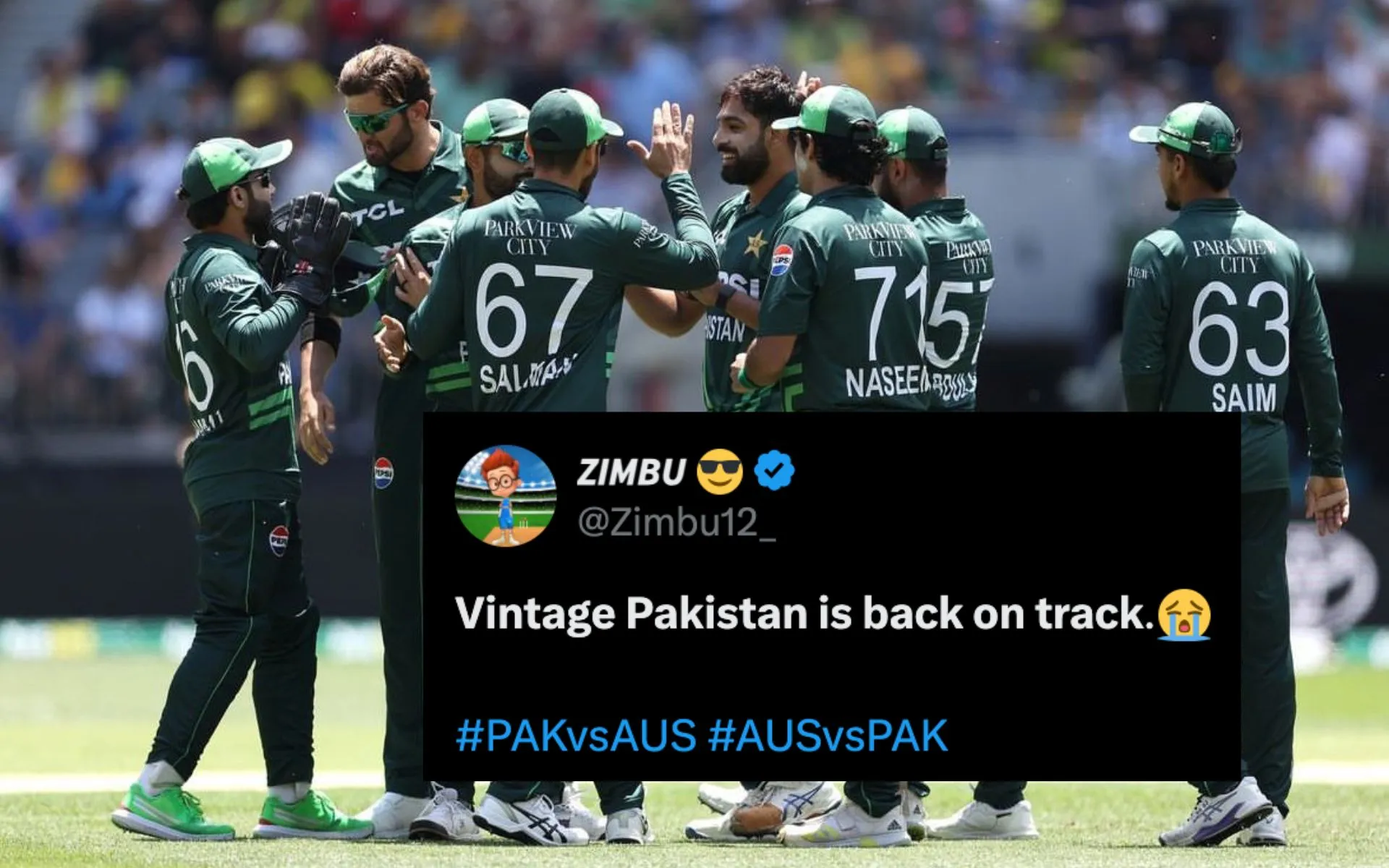 Australia defeated Pakistan (Source:@ urwa_shahzeen/x.com)