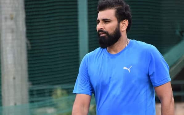 Shami To Be Included In India's Squad For BGT? Team Management's Opinion Revealed
