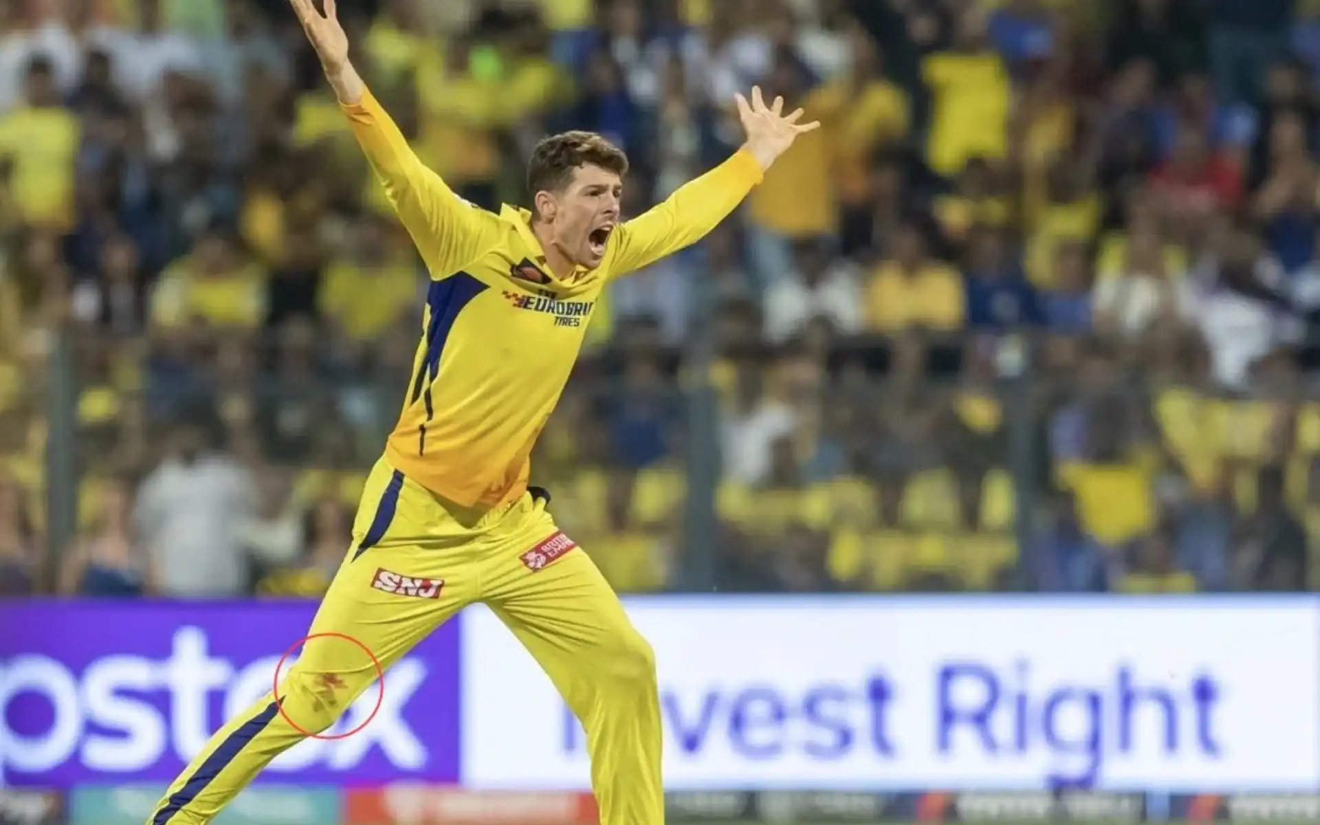 IPL 2025: 3 Overseas Players SRH Can Target In Mega Auction