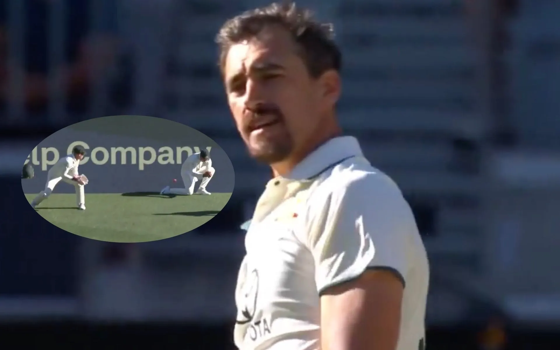 Mitchell Starc's Angry Reaction (Source:@cricketcomau/X.com)
