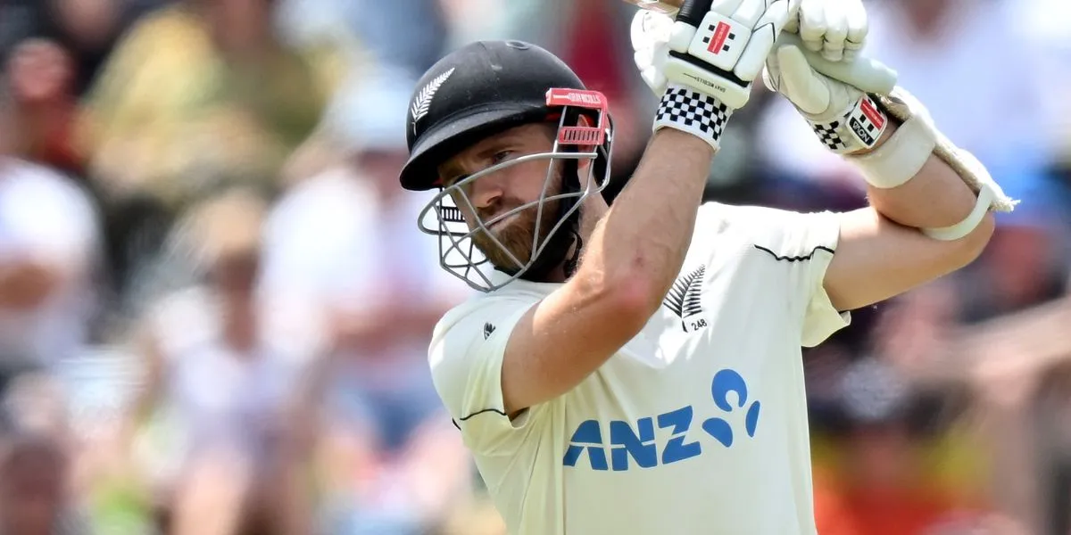 Kane Williamson returns to international cricket [Source: @141Adelaide_/X.com]
