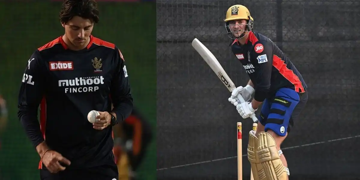 Tim David In RCB Colours [Source: @141Adelaide_, @_fantasykhiladi/x.com]