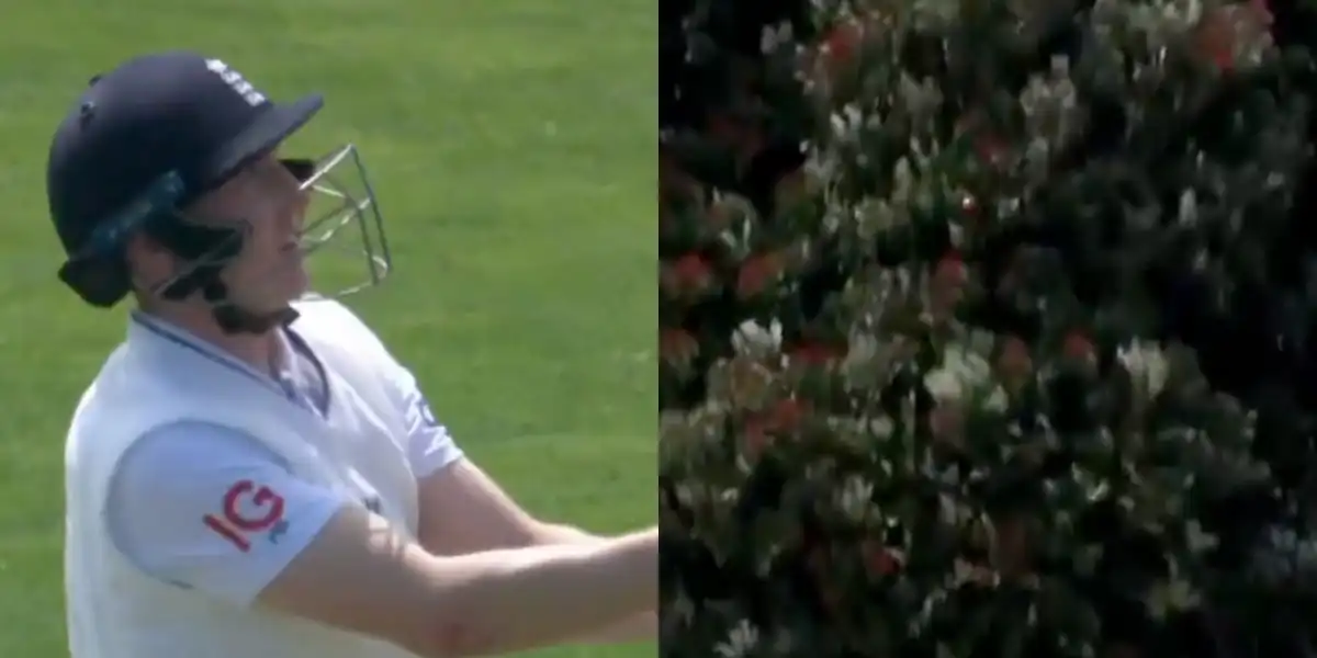 Harry Brook hit a brilliant shot against Matt Henry [Source: Screen grab from @gavaskar_theman/x.com]