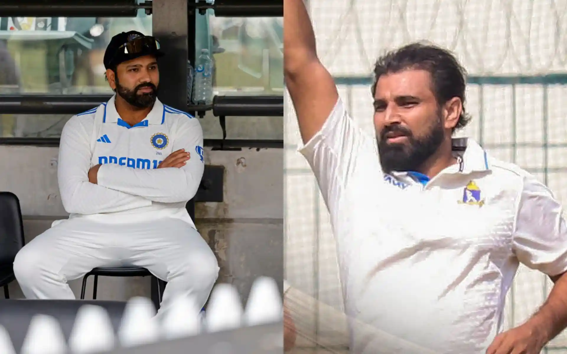  Why Indian Captain Rohit Sharma Need Mohammed Shami For Border-Gavaskar Trophy?