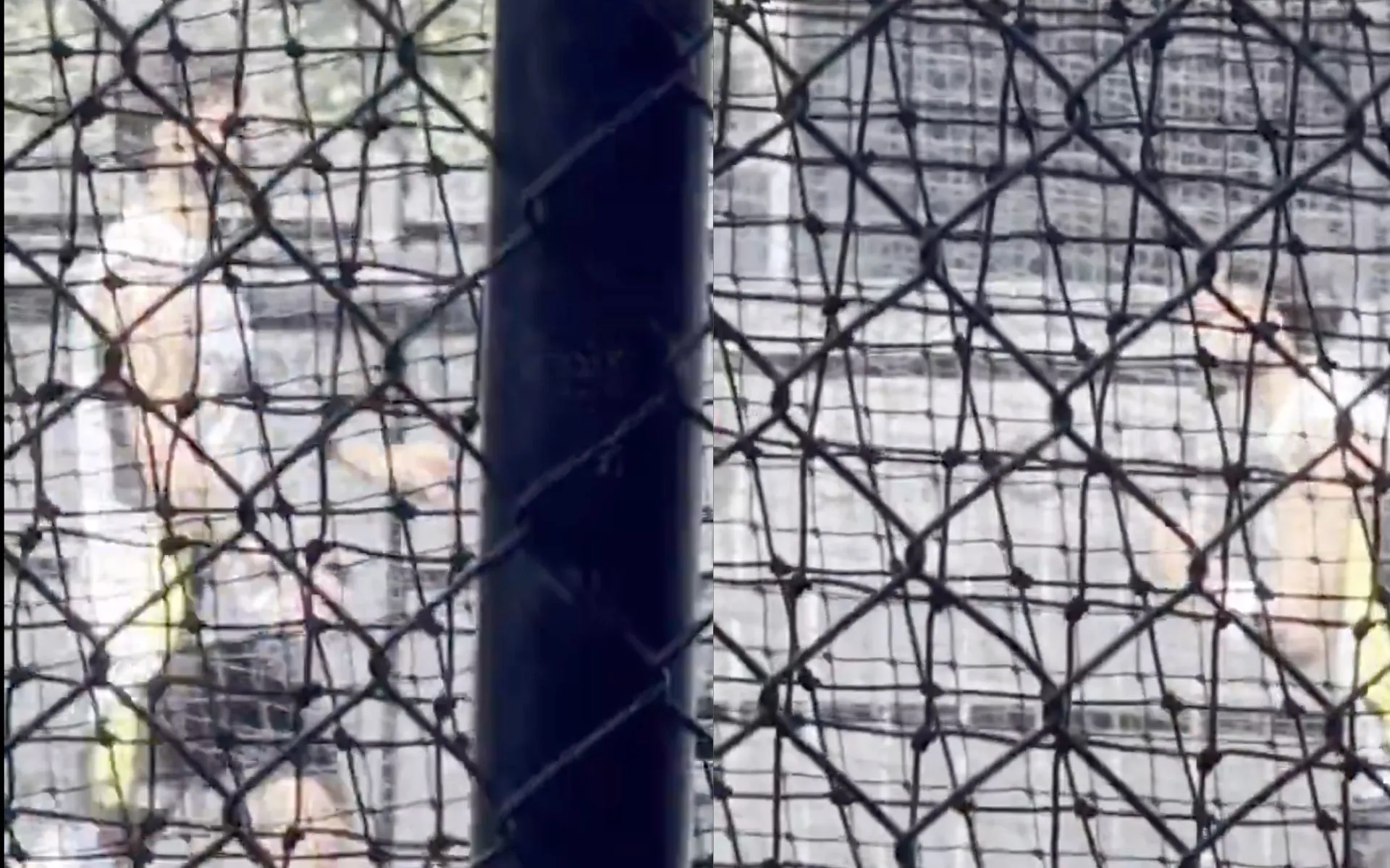 Virat Kohli seen bowling the nets (Source: @OneCricketApp/X.com)