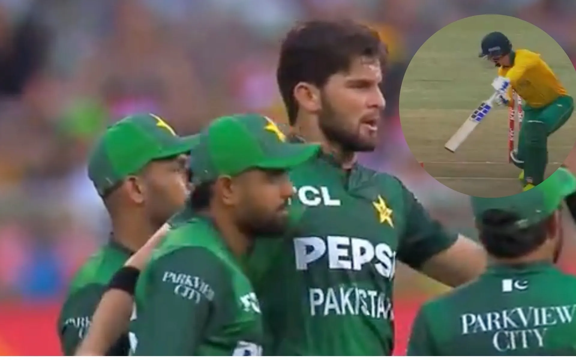 Shaheen Afridi after wicket vs SA (Source:@gavaskar_theman/X.com)