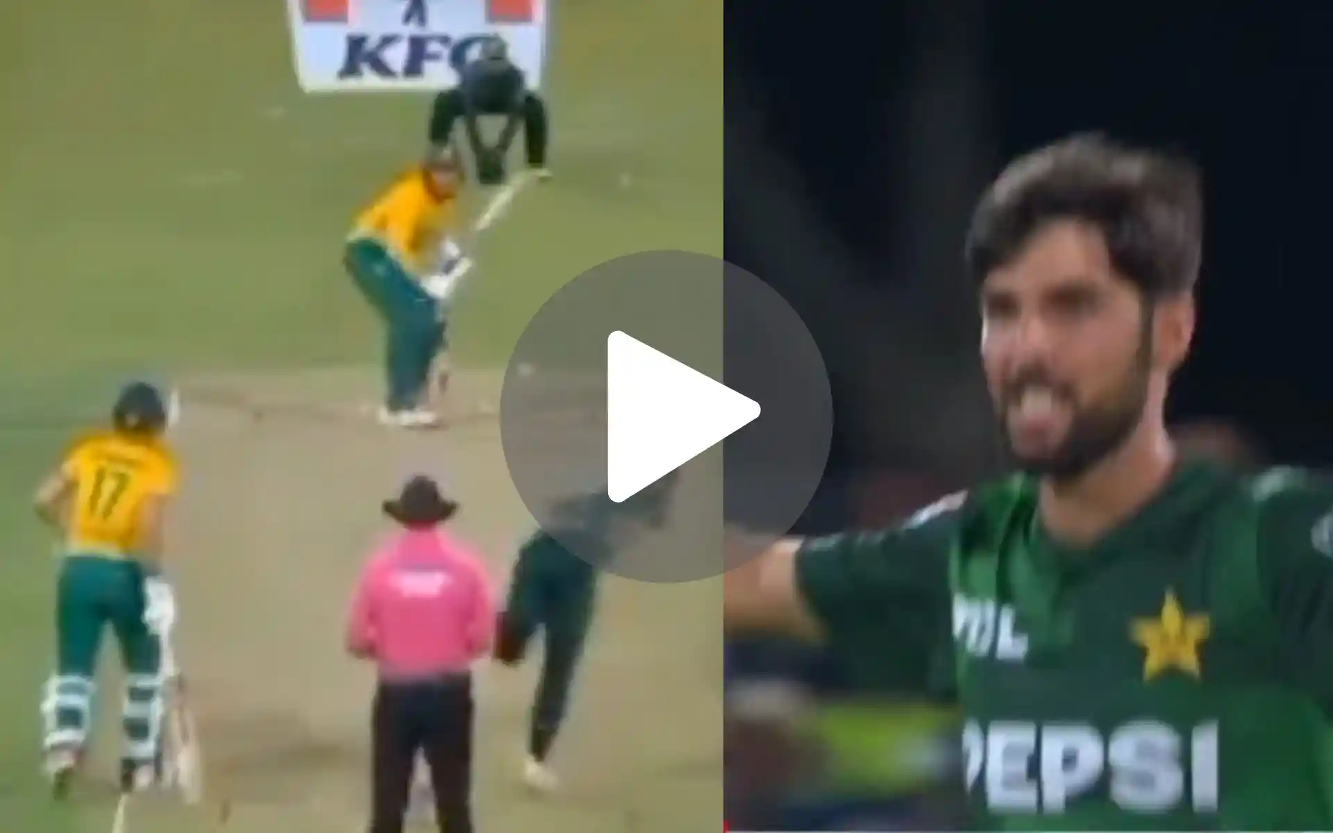 [Watch] MI's Latest Overseas Recruit Falls Prey To Pakistan's Rookie In 2nd T20I