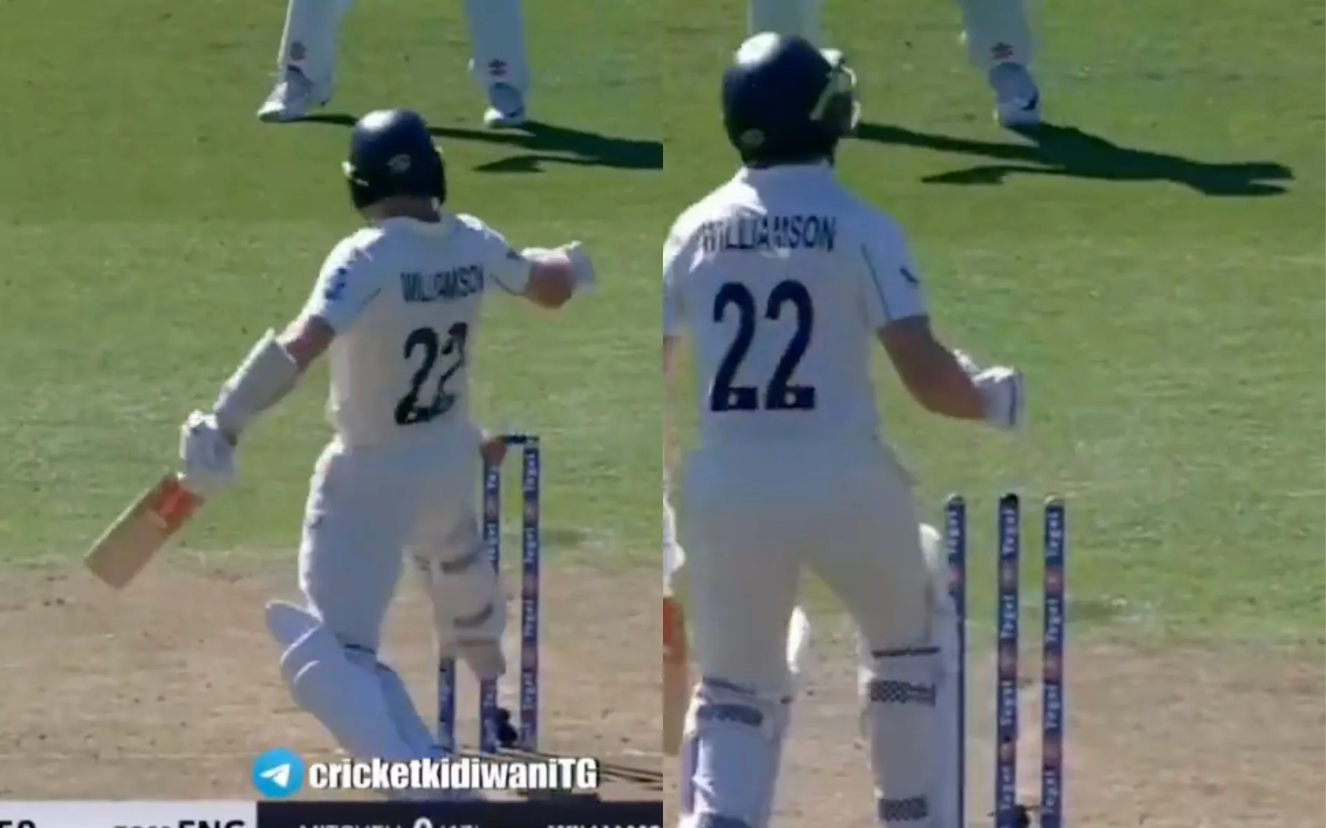Williamson dismissed in a bizarre manner [Source: @shivammm_/X.Com]
