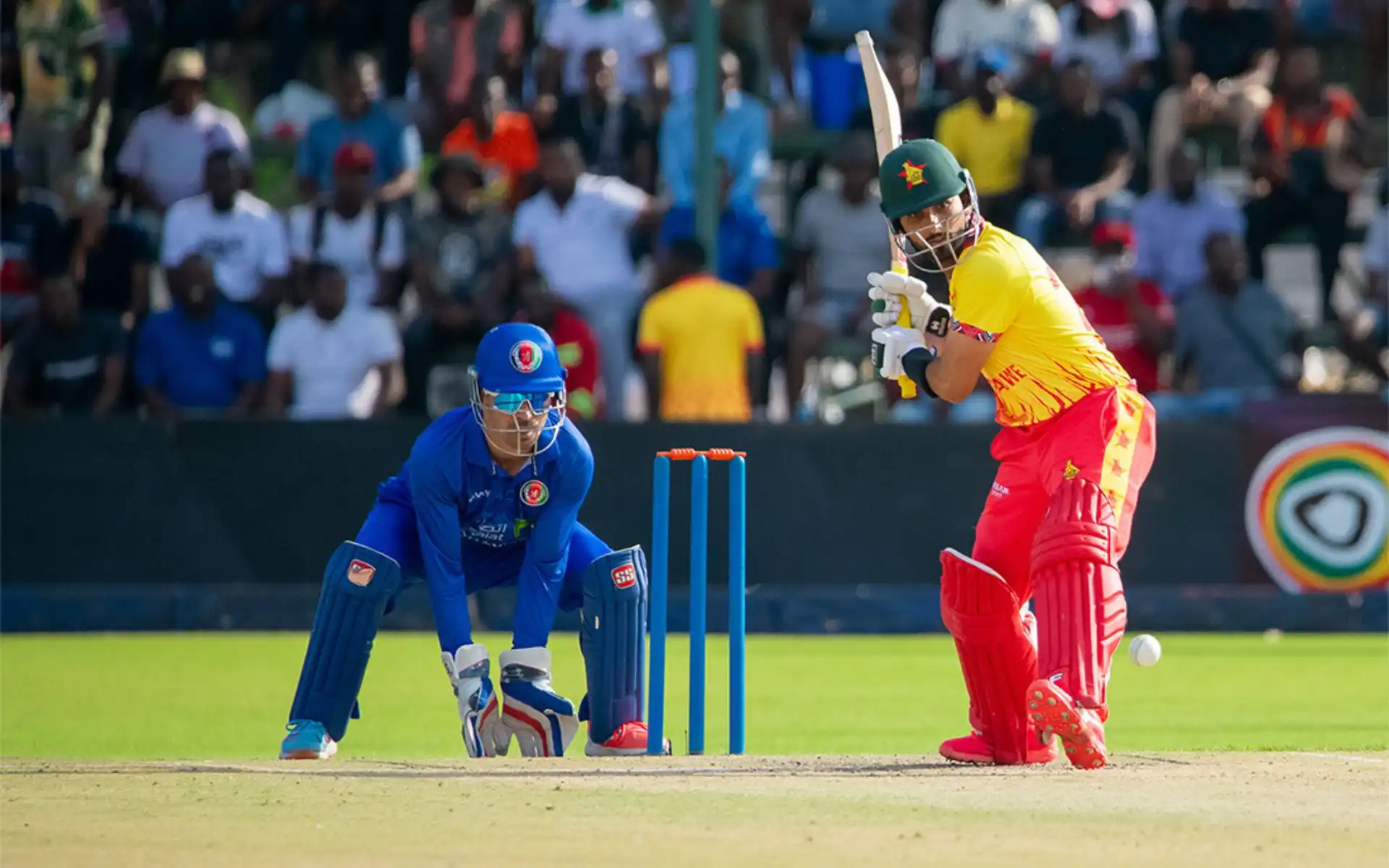 Zimbabwe will take on Afghanistan in 1st ODI [Source: @ZimCricketv/X]